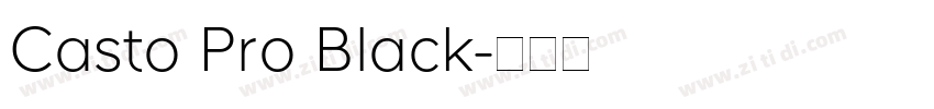 Casto Pro Black字体转换